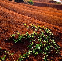 《尼克德里克: 魔法世界》今日登陆PC、PlayStation 4和Xbox One! 