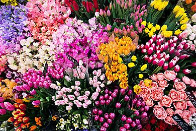 Discord正在删除Switch模拟器开发者及其服务器